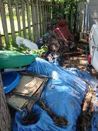 Yard Debris Removal